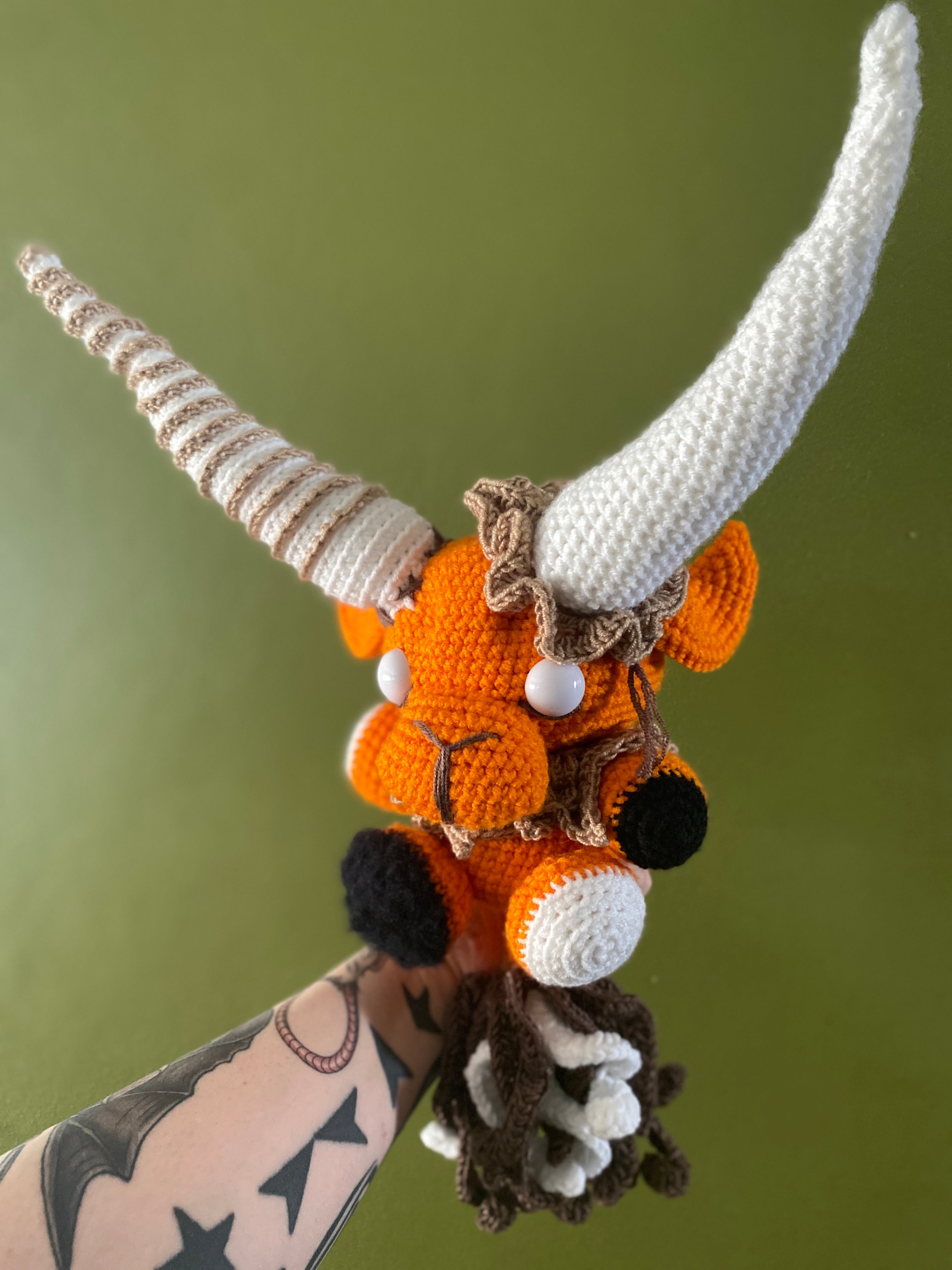 Big Horned Orangey