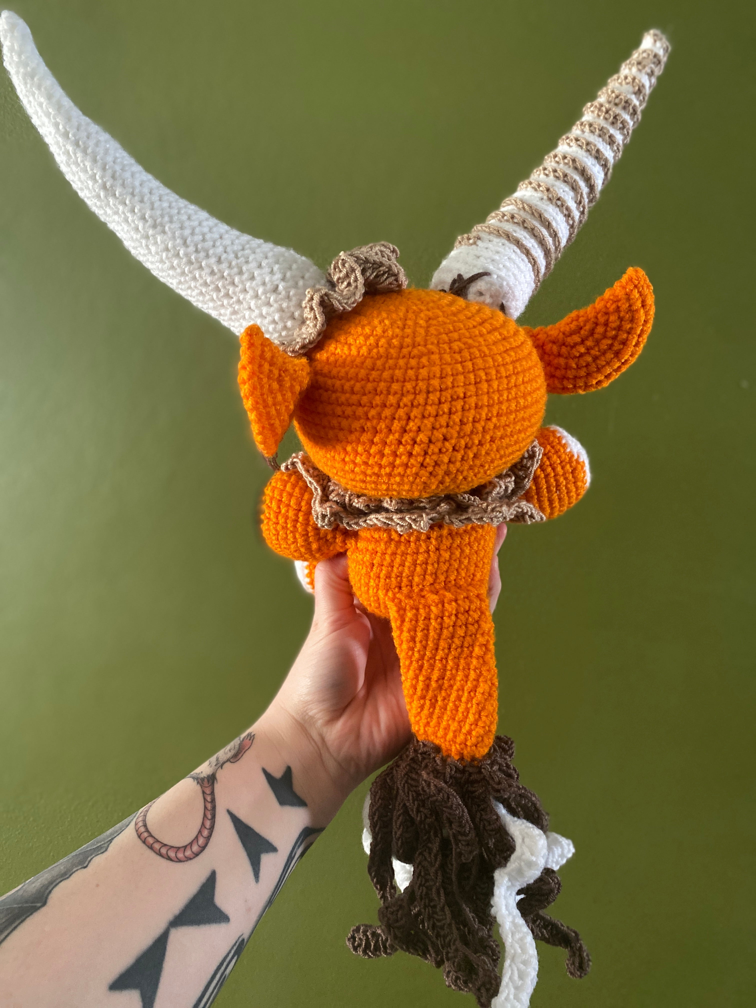 Big Horned Orangey