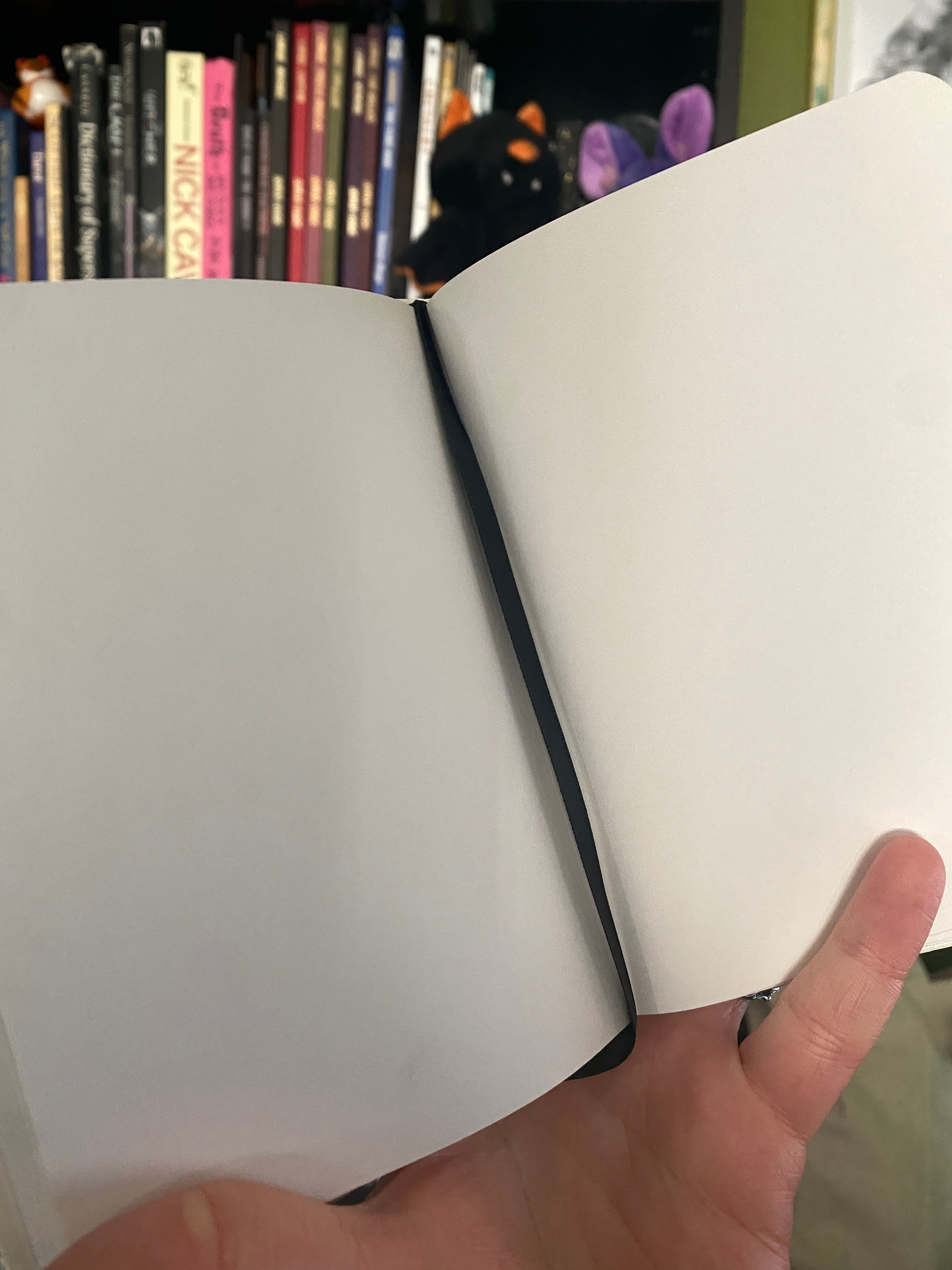 'Xeno' Journal