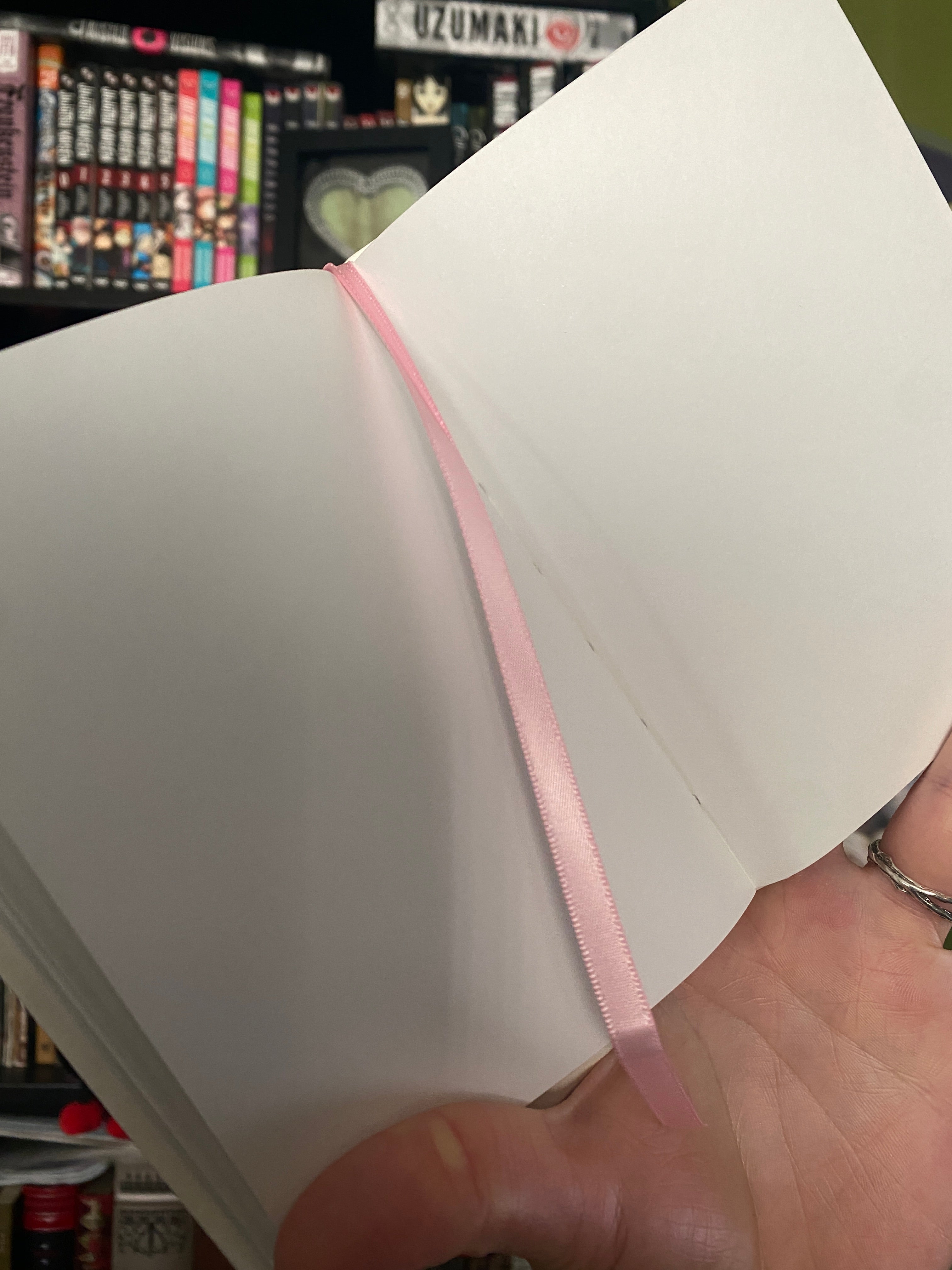 'Strawberry Gashes' Journal